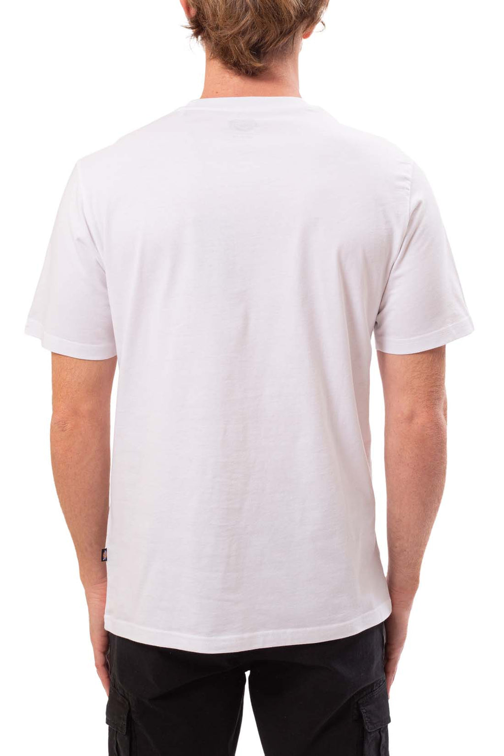 DICKIES - Men's Mapleton T-shirt  - Size XXL-6